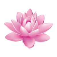 Vector isolated flower of lotus with light pink petals with reflection on white background 3d vector illustration