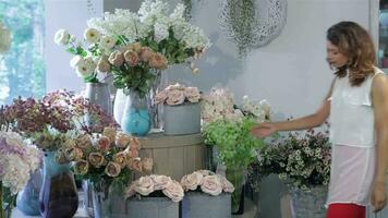 mujer elige Entre Rosa de té y rosado Rosa a flor tienda video