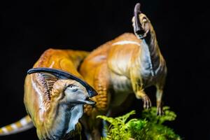 parasaurolophus dinosaurio en el oscuro foto