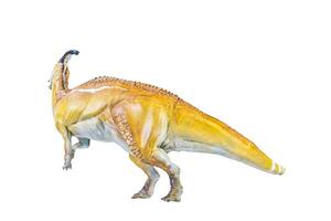 parasaurolophus dinosaurio aislado antecedentes foto