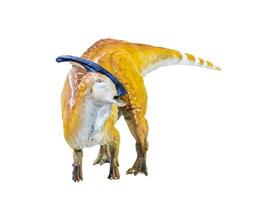 Parasaurolophus  dinosaur isolated background photo