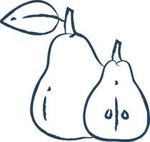 Pear cut hand drawn vector illustration