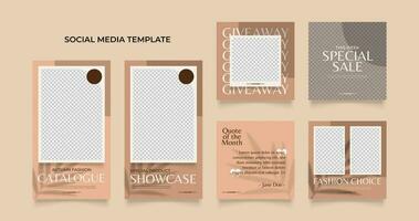 Social media template banner blog fashion sale promotion vector