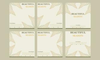 beautiful floral social media template. suitable for social media post, web banner, cover and card vector