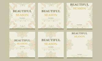 floral social media template. suitable for social media post, web banner, cover and card vector