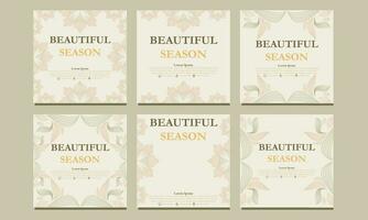 floral social media template. suitable for social media post, web banner, cover and card vector