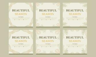 beautiful floral social media template. suitable for social media post, web banner, cover and card vector