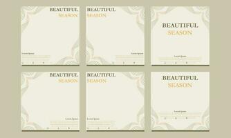 beautiful floral social media template. suitable for social media post, web banner, cover and card vector