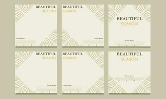 beautiful floral social media template. suitable for social media post, web banner, cover and card vector