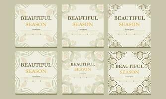 beautiful floral social media template. suitable for social media post, web banner, cover and card vector