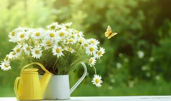 Chamomile flowers bouquet in watering can and butterfly on the table in the garden. Generative AI photo