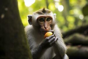 Close up of monkey eating fruit in the jungle. Generative AI photo