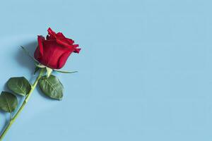 Red rose flower on blue background. Romantic Valentine's holiday concept. AI Generated photo