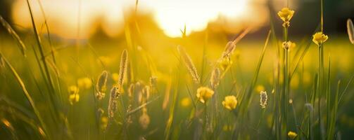 Tranquil spring summer nature closeup and blurred forest background. Generative AI photo