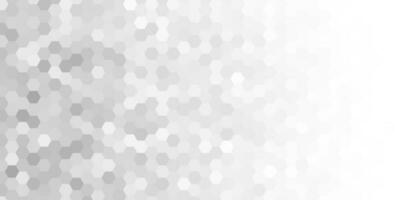 abstract grey white modern background with hexagons vector