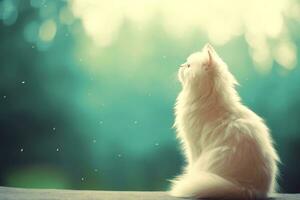 Close-up of cute cat gazing at something with beautiful bokeh background, Generative AI photo