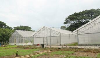 Greenhouse construction for horticultural plant nurseries. White green house.Plants crop in greenhouse. photo