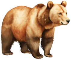 Castanho urso. ai generativo png