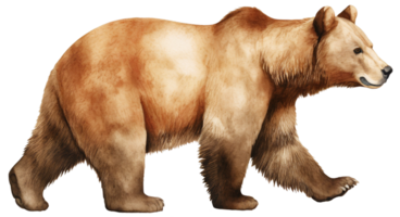 Brown bear. AI Generative png