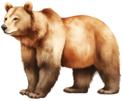 Castanho urso. ai generativo png