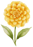 Chrysanthemum. AI Generative png