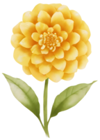 chrysanthème. ai génératif png