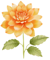 Chrysantheme. ai generativ png