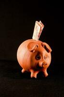 Piggy bank on dark background photo