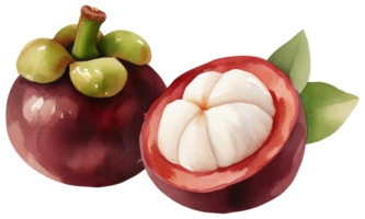 mangosteen. ai generatief png