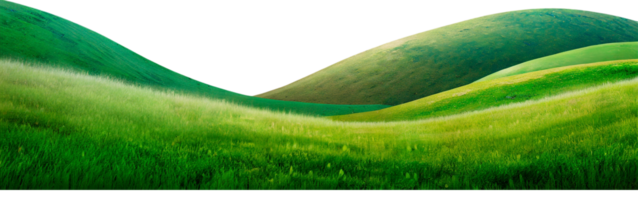 Grass landscape. AI Generative png