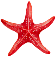 estrela do Mar. ai generativo png