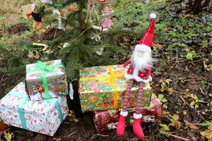 A toy gnome sits on Christmas gifts under a fir tree in the yard, horizontal photo, close-up photo