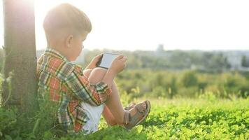 allegro bambino seduta su il erba sembra cartoni animati nel il Telefono nel il estate a tramonto. carino ragazzo avendo divertimento nel natura video