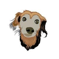 dog head vector template, dog head vector illustration