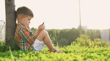 vrolijk kind zittend Aan de gras looks tekenfilms in de telefoon in de zomer Bij zonsondergang. schattig jongen hebben pret in natuur video