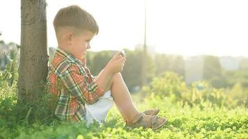 allegro ragazzo seduta su il erba sembra cartoni animati nel il Telefono nel il estate a tramonto. carino bambino avendo divertimento nel natura video