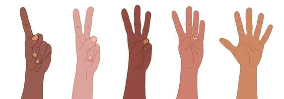 Set of different skin color hands. Counting from one to five with your hands. Finger-counting. Body language. Communication gestures concept. Number 1, 2, 3, 4, 5 with hand sign vector