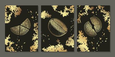 Set of luxury gold wall art. Golden orange, grapefruit, citrus. Abstract minimalist art with linear fruits and gold grunge texture on black background vector