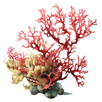 Branching Corals cut out, AI Generative png