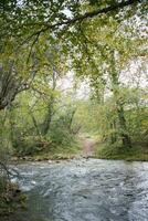 Lozoya riverin Rascafria  after heavy rainfall. photo