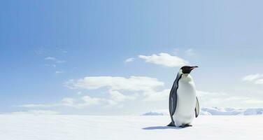 pingüino en pie en Antártida mirando dentro el azul cielo. ai generado foto