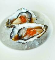 Gourmet portion of two oysters from the European Mediterranean photo