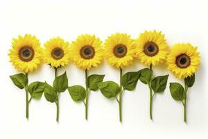 Sunflowers isolated on white background. AI Generated photo