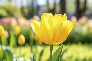 amarillo tulipán en el jardín. ai generado foto