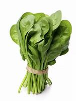 Bunch of spinach isolated on white background. AI Generated photo