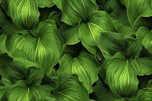 un planta con un montón de grande verde hojas. ai generado foto