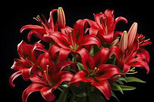 Red Lilies on black background. AI Generated photo