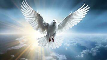 White Dove Spreading Wings Towards Sunlit Sky photo