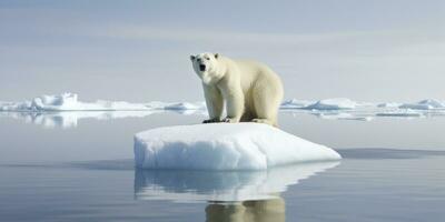 Polar bear on ice floe. Melting iceberg and global warming. AI Generated photo