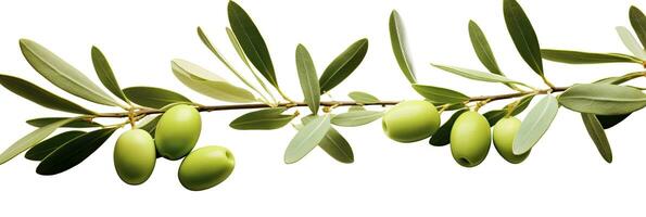 Olive tree branch, green olives and leaves on white background. AI Generated. photo